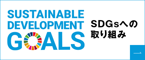 SUSTAINABLE DEVELOPMENT GOALS