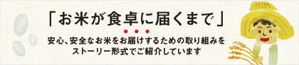 お米が食卓に届くまで