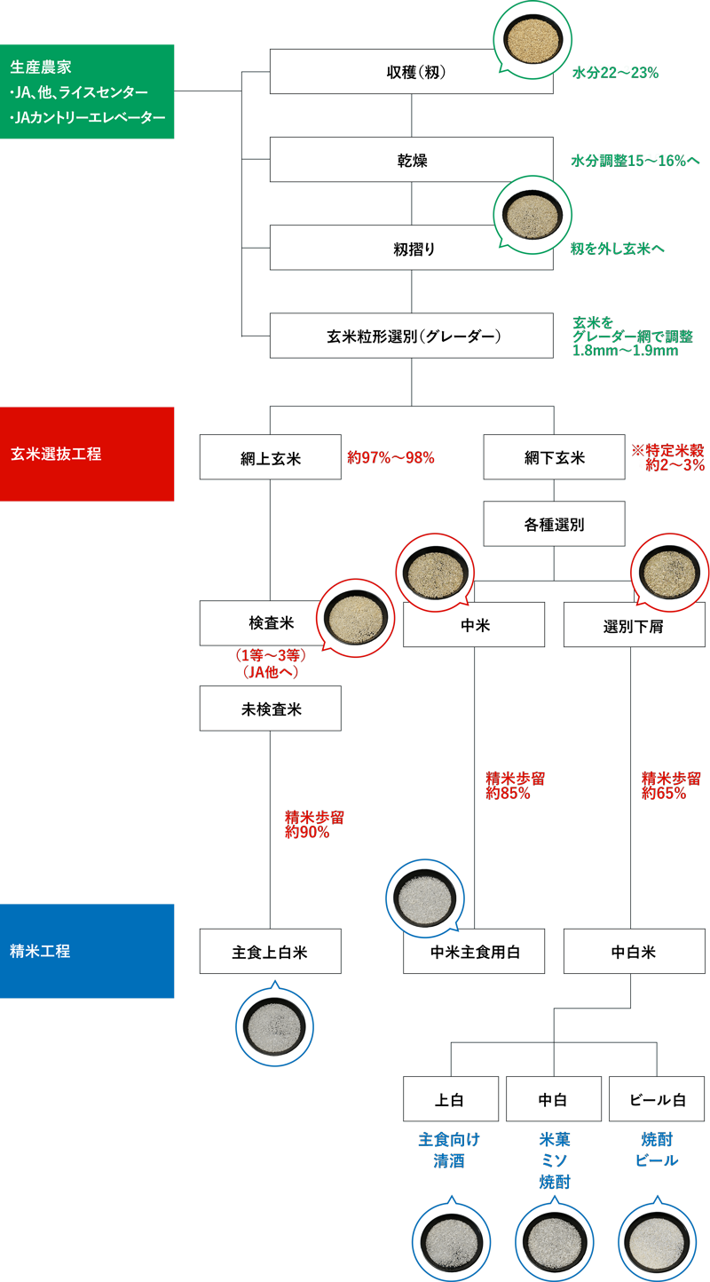 収穫～製品化までの米の流れ