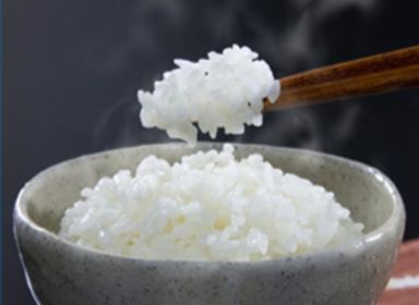 主食用上米・無洗米の製造工程をご紹介します。